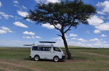 Afternoon half day mini safari to Nairobi National Park 