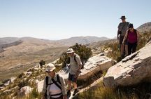 Half-Day Swartberg Pass PRIVATE Tour (including lunch & transfer - Oudtshoorn)