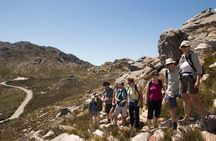Full-Day Swartberg Mountain PRIVATE Tour (including lunch and transfers)