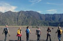 Bromo sunrise tour via Tumpang - start Malang // 1 day tour