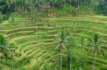 Private Inclusive Tours: 2 Days highlight of Bali