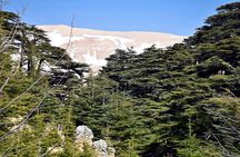 PRIVATE Tour to Cedars of God, Besharre & Qozhaya Valley