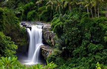 Private Inclusive Tours: 2 Days highlight of Bali