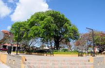 Puerto Plata City Tour from Puerto Plata