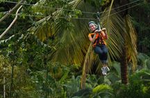 Adrena-Line Zipline Canopy Tour at Rainforest Adventures St. Lucia