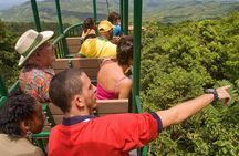 Adrena-Line Zipline Canopy Tour at Rainforest Adventures St. Lucia