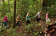 St Lucia Jacquot Trail Hike at Rainforest Adventures