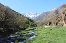  Atlas Mountains and Berber villages & Waterfalls Day Tour from Marrakech 