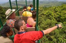 St. Lucia Aerial Tram Tour at Rainforest Adventures
