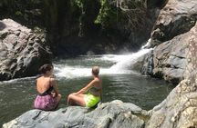 El Yunque Rainforest and Waterfall Guided Tour