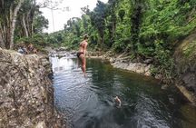 El Yunque Off the Beaten Path Tour with Transportation