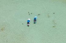 Sian Ka'an Biosphere Full Day Boat Tour with Lunch