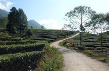 Sapa Full Day Motorbike Tour