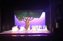  Folkloric Ballet in Mexico City