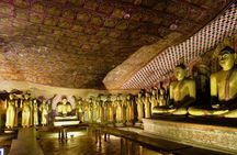 Day tour to Sigiriya & Dambulla from Kandy by Aaliya Tours