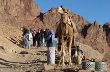Excursion to Mosesberg and Kathrinen Monastery from Sharm el Sheikh
