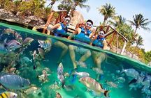 Xel-Ha All Inclusive Admission Ticket