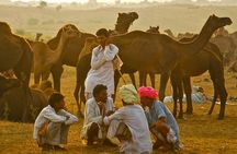 Exclusive: Guided Pushkar Day Trip from Jaipur