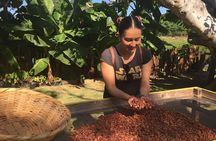 Chocolate Tour in Vallarta