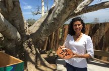 Chocolate Tour in Vallarta