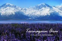 Portage Glacier Cruise and Wildlife Explorer Tour