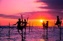 From Colombo/ Negambo - Southern SriLanka Day Trip