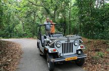 6-Day Kerala Private Tour: Periyar Wildlife Sanctuary