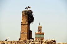 Half Day Guided cityTour Of Marrakesh