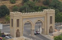 Full Day Fez Visit guided-Medina by local guide & Rampart by car