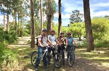Biking Cuenca City Tour