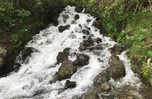Stunning Turnagain Arm Tour: "A Must See Destination"