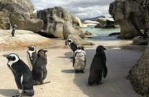 Cape Town: Cape Peninsula Private Tour Full Day