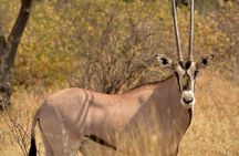 Private 2 Days Safari, Nature, to Awash National Park 