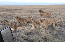 5 Days - Tanzania Budget Camping Safari