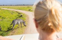 5 Days - Tanzania Budget Camping Safari