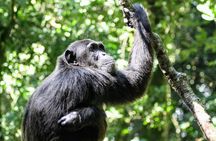 Small group Adventure Holiday- 7 Days