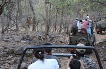 Private Full Day Trip to Ranthambore