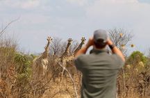 4 Days Victoria Falls Zimbabwe with Chobe National Park Safari Botswana and Livingstone Zambia