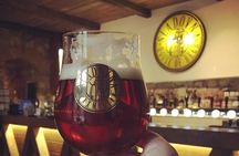 Bratislava 2 hours walking tour with beer tasting