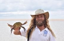 From Noosa: Stand Up Paddle Wildlife & Beach 4X4 Adventure