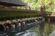 Bali Culture Tour - Water Blessing Experienced - All Inclusive