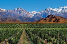 4-Days Trip to Mendoza and The Andes