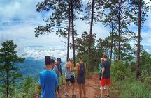 Chiang mai Hike & Downhill Bike Adventure –Suthep National Park