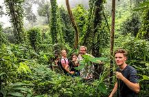 Chiang mai Hike & Downhill Bike Adventure –Suthep National Park
