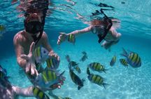 Up to 15 passengers Private Catamaran Sailing from Punta Cana