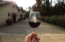 Small-Group Half Day Tour to Concha y Toro Winery