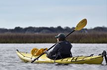 Guided Kayak Eco Tour in Charleston
