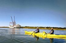 Guided Kayak Eco Tour in Charleston