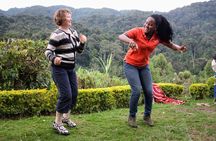 Gorilla & Chimp Tracking Safari - 4 Days