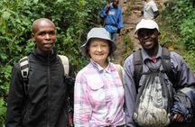 Bwindi Gorilla Safari - 3 Days